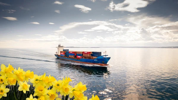 Firefly%2020240313121024