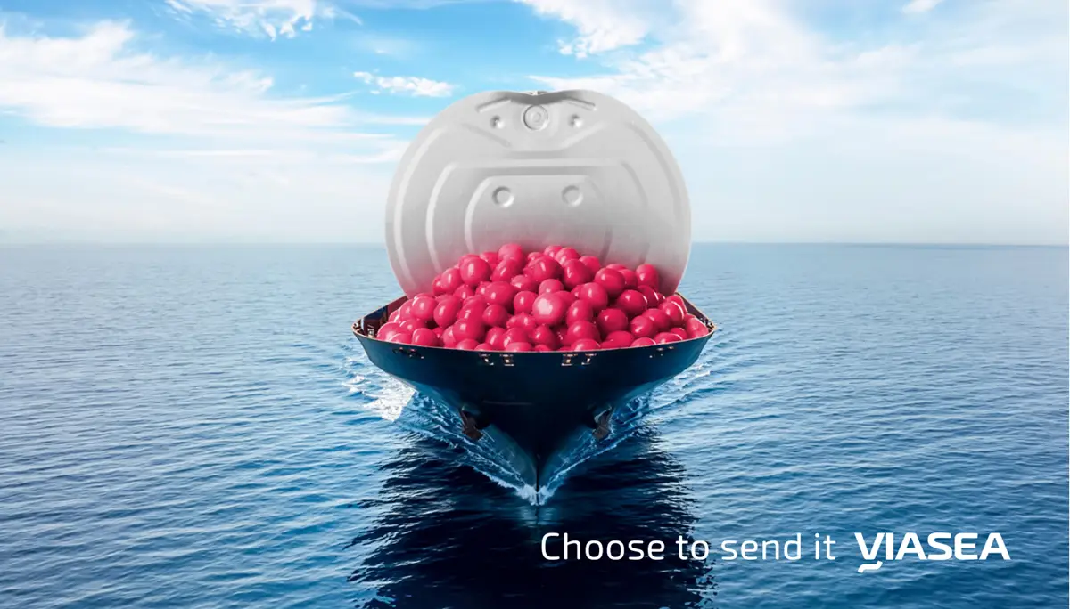 Savouring flavours across the seas | Viasea Shipping